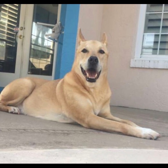 Meet your Posher, Anne - Picture 3 of 7